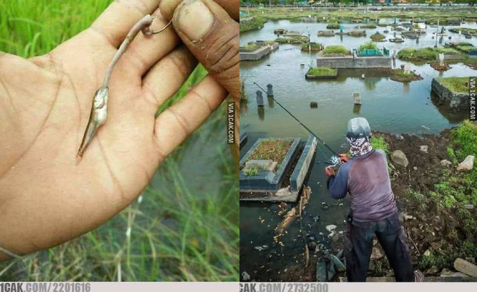 Ngakak! 10 Potret Tingkah Aneh Orang Saat Mancing | Dailysia