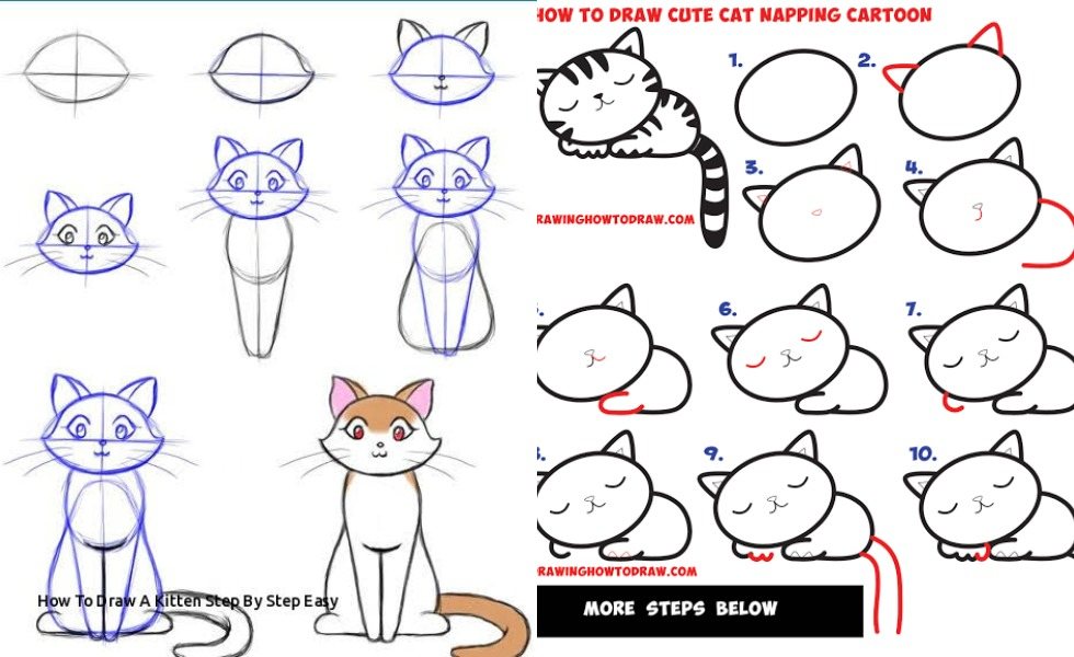 10 Cara Menggambar Anak Kucing, Posenya Lucu-lucu - Dailysia