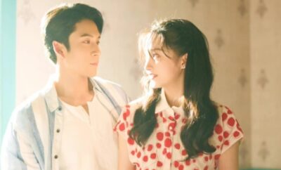 Mr. & Mrs. Chen - Sinopsis, Pemain, OST, Episode, Review