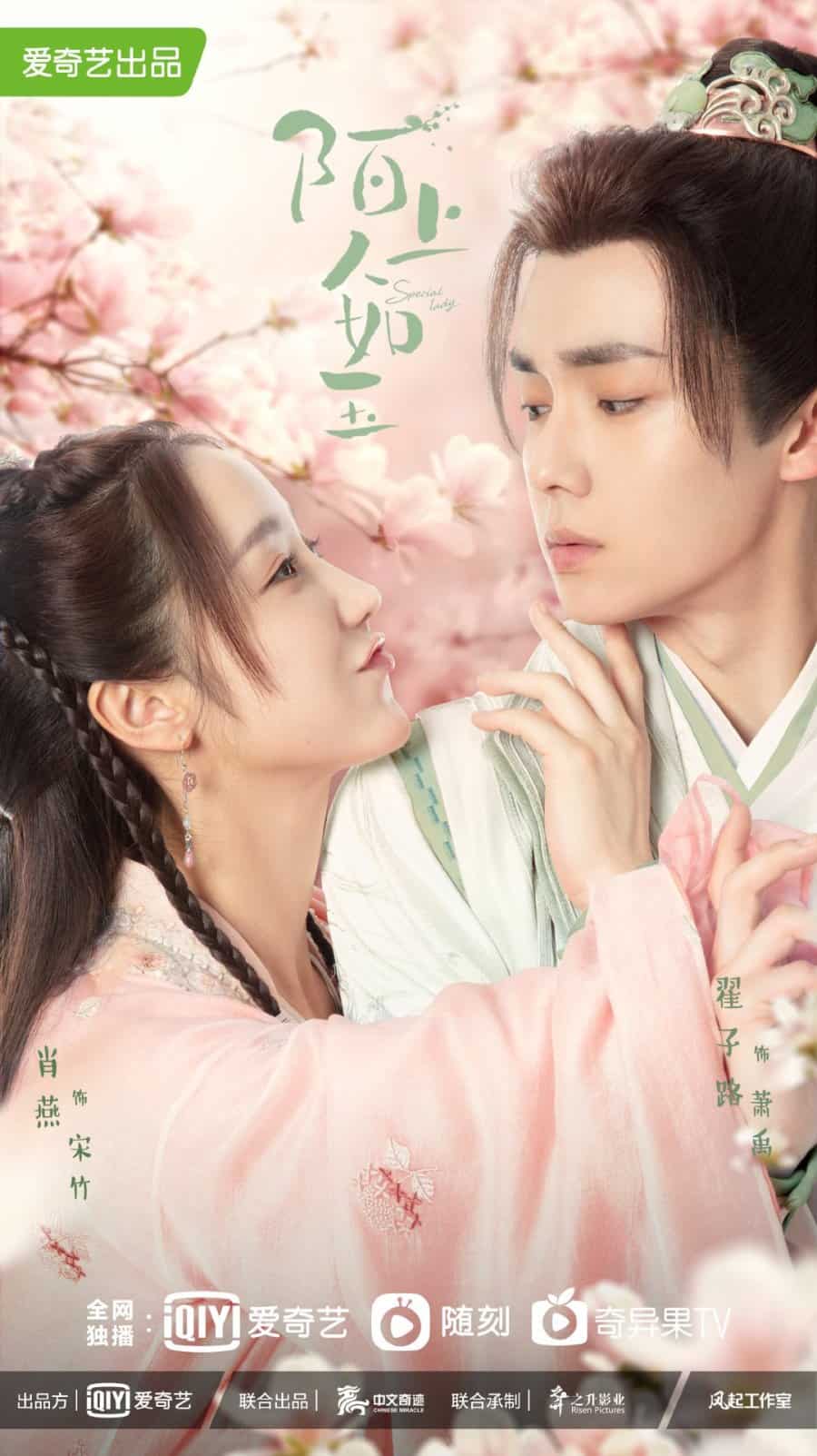 Special Lady - Sinopsis, Pemain, OST, Episode, Review