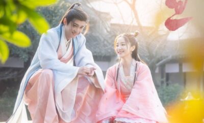 Special Lady - Sinopsis, Pemain, OST, Episode, Review