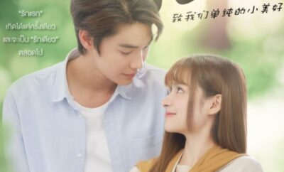 A Love So Beautiful - Sinopsis, Pemain, OST, Episode, Review