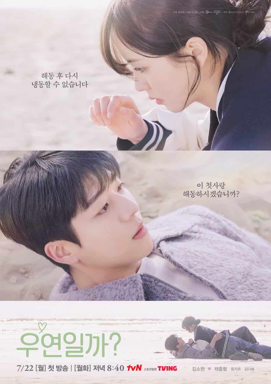 Serendipity's Embrace - Sinopsis, Pemain, OST, Episode, Review