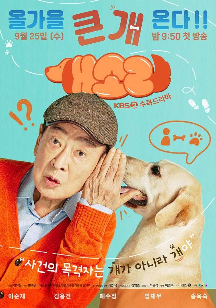 Dog Knows Everything - Sinopsis, Pemain, OST, Review