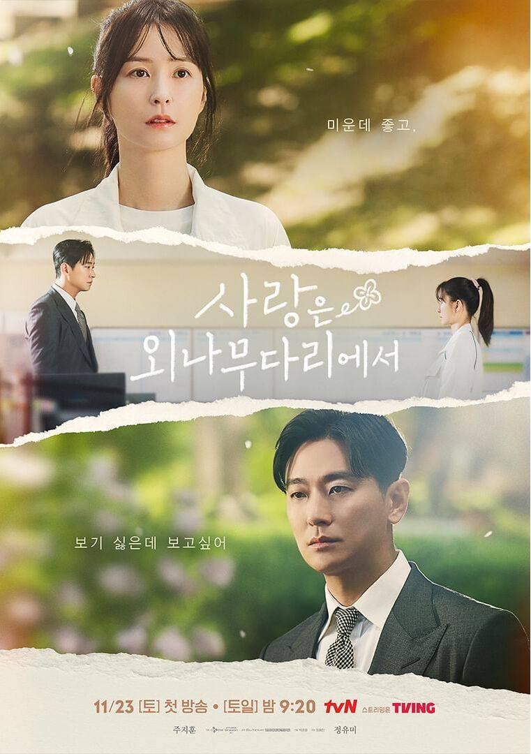 Love Your Enemy - Sinopsis, Pemain, OST, Review