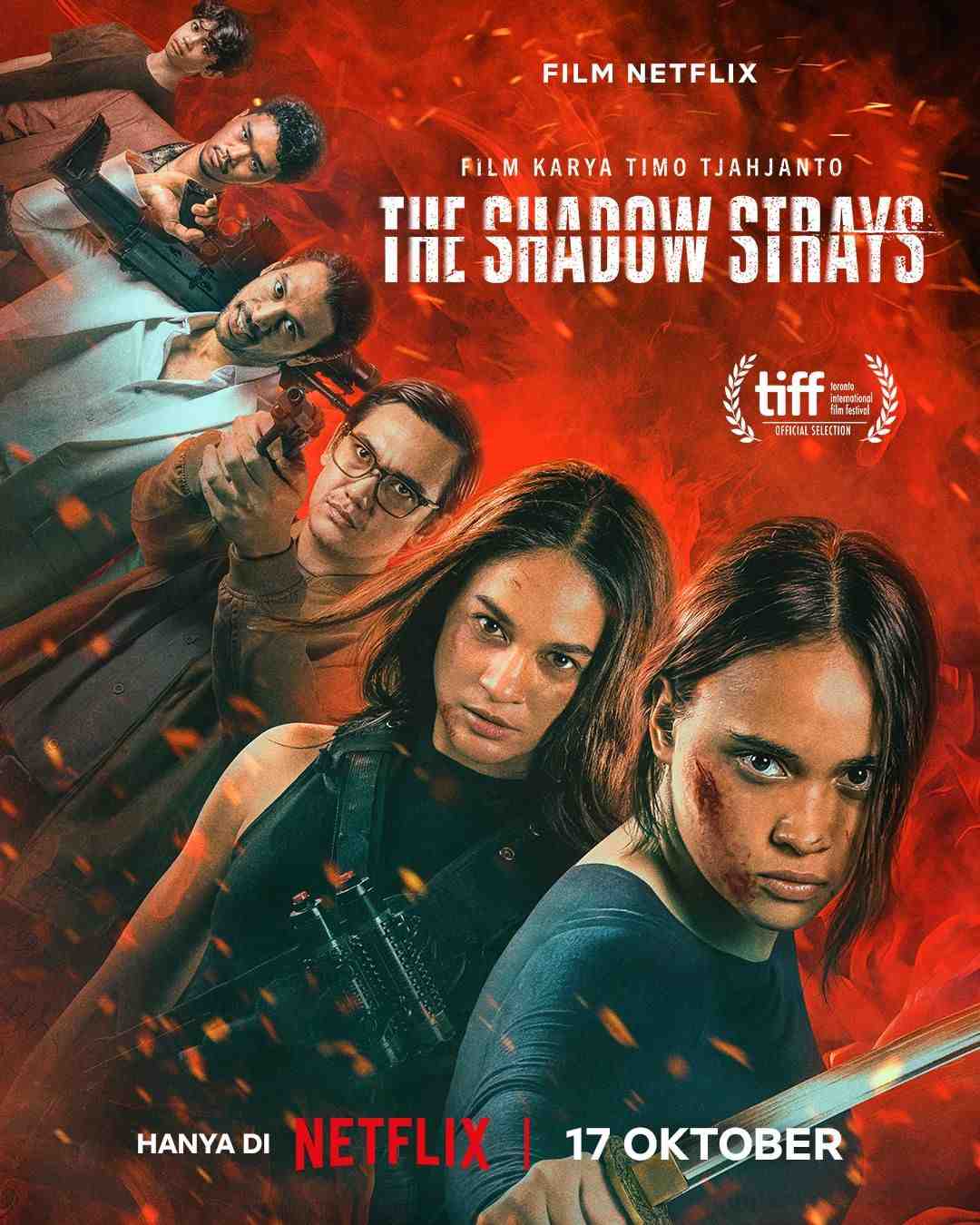 The Shadow Strays - Sinopsis, Pemain, OST, Review